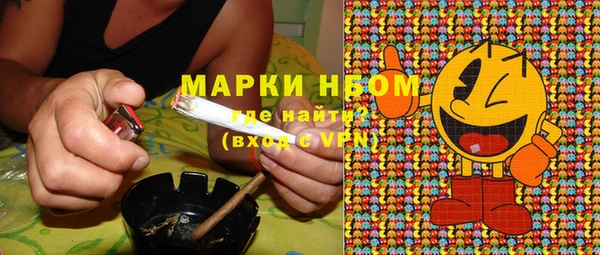 индика Верхний Тагил