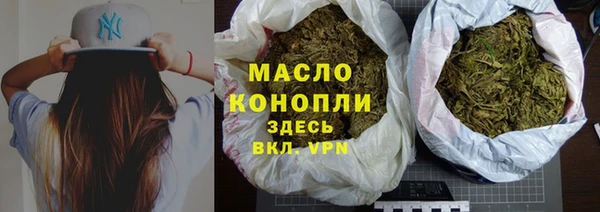 индика Верхний Тагил