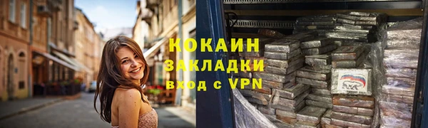 индика Верхний Тагил