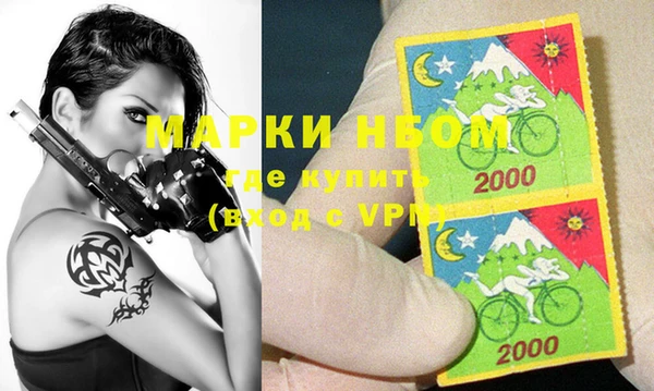 индика Верхний Тагил