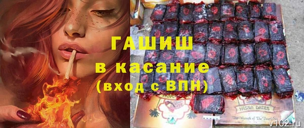 индика Верхний Тагил