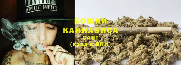 индика Верхний Тагил