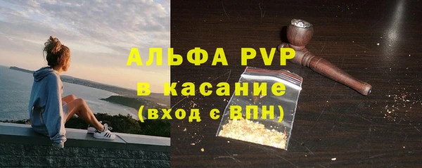 индика Верхний Тагил