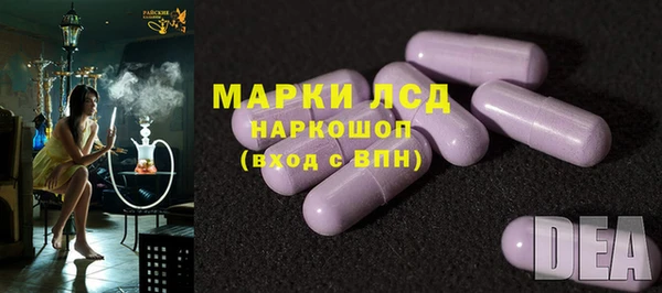 индика Верхний Тагил