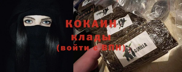 индика Верхний Тагил