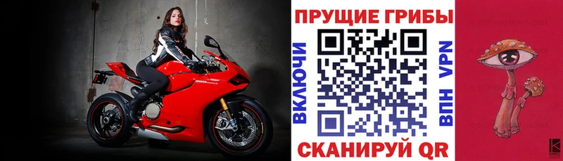 купить наркотик  Кущёвская  MEGA вход  Галлюциногенные грибы MAGIC MUSHROOMS 