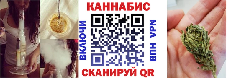 Канабис семена  Кущёвская 